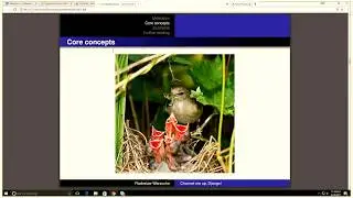 Introduction to Django Channels by Radoslaw Warzocha (Eng)