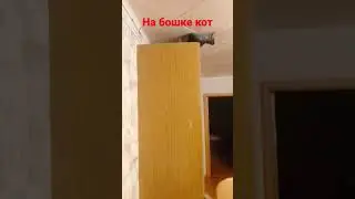 силвол
