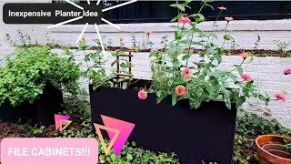EASY TALL Planter! (plus homegrown HOT SAUCE) #containergardening