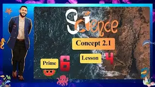 SCIENCE l Grade 6 l First Term - Concept 2.1 - lesson 4