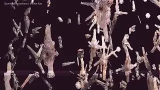 2018 Ars Electronica Festival - Trailer