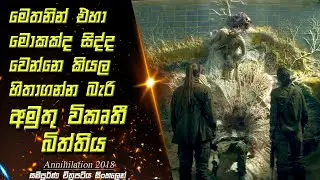 හිතාගන්නවත් බැරි දේවල් සිද්ද වෙන අභිරහස් කලාපය | Annihilation 2018 Movie Sinhala Review & Recap