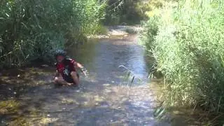Vadeo del Río Sot