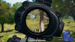 Chicken dinner 3#