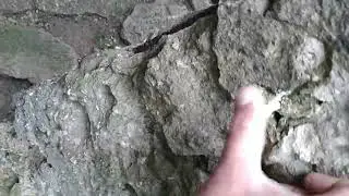 14 июня 2024 г.