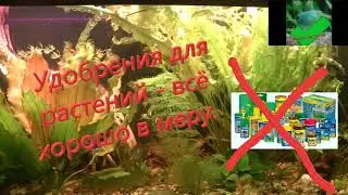 Удобрения для растений - всё хорошо в меру Fertilizers for plants - everything is good in moderation