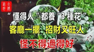 “懂得人”都養“3種花”，客廳一擺，招財又旺人，怪不得過得好！