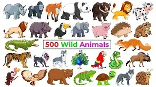 500 Wild Animals | Animals Vocabulary In English | Learn Animals Name In English With Pictures