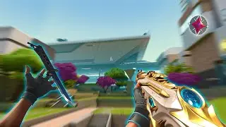 0.5 800dpi But not Calm Aim..