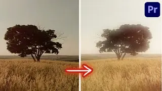 How to Make Dreamy Effect in Premiere Pro