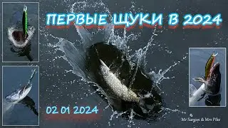 Первые щуки в 2024. 02 01 2024