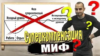 Суперкомпенсация: правда или миф?/Тренировочный цикл