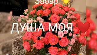 Забар ☀️ - ДУША МОЯ 2020 ☀️❤️ хит