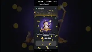 hamster kombat today combo cards | 7 june hamster kombat today combo cards | hamster combo today