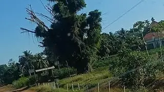 Blusukan ke kawasan sriwidodo Lampung Timur