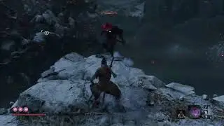 SEKIRO VAMOS A PASARLA BIEN 😂
