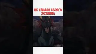 Не узнала своего хозяина 