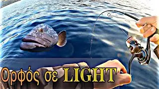 LIGHT JIGGING ΡΟΦΟΣ ΚΑΙ ΜΕΓΑΛΟ ΦΑΓΓΡΙ ΜΕ SHIMANO GAME TYPE ΚΑΙ PALMS METAL WITCH GUEST α #ψάρεμα