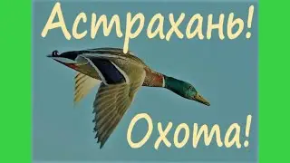 Мясо или Отдых? Охота.  Астрахань.  Утки.