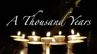 A Thousand Years | Renee Qin Harp Cover