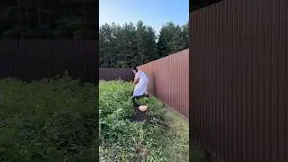 Ваш муж заказывает блюда? 