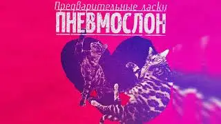ПНЕВМОСЛОН - Пока не получишь в слэме пизды