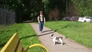 С Боцманом на прогулке