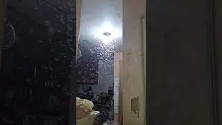 SIGN NA MAGTATAG-ULAN NA? PAANO SILA HUHULIHIN O PAPATAYIN??