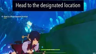Head to the designated location genshin impact @pgi6918