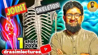 Skeleton and Joint | One Shot Video