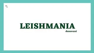 What is Leishmaniasis and Leishmania? | Leishmania donovani | Life Cycle, Treatment | MEDZUKHRUF