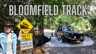 Is this Australia's STEEPEST track? | Daintree ferry to The Lions Den Hotel