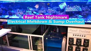 Reef Tank Nightmare:  Electrical Meltdown & Sump Overhaul