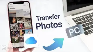 Wie kann man Fotos vom iCloud auf den Computer überträgen?