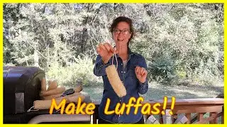 How to Make Luffa (Loofah) Sponges