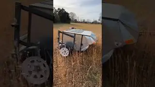 Harvesting Native Grass Seed 