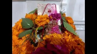 Shri Yantra Puja श्री यंत्र पूजा - Organised By Himalaya Vedic World