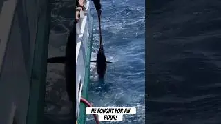 Giant bluefin tuna caught during the day on a jig!