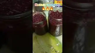 19 сентября 2024 г.