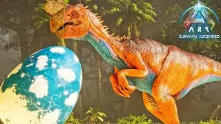The Automatic Egg Collector & Terror Bird Taming! - Ark Survival Ascended - Episode 11!