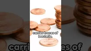 5 facts to make it rich #facts #fact #factshorts #money #rich #youtubeshorts #youtube #youtuber