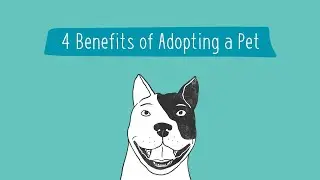 4 Benefits of Adopting a Pet | Pet Parenting 101