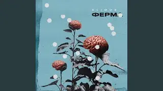 Весёлый лайнап