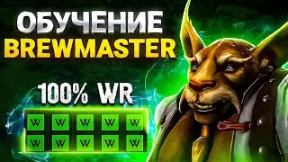 Обучение, гайд BREWMASTER Сake ! Победы в соло рейтинге ! 