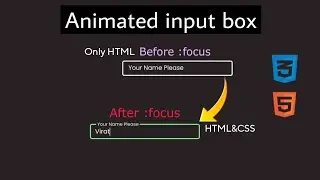 Input field with floating text animation | only CSS#coding