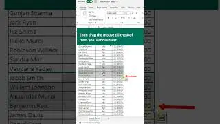 Insert Rows in Excel