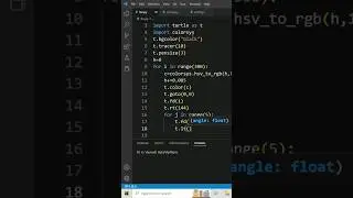Turtle Program  