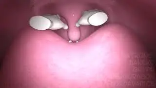 Furry vore pov 