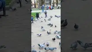 Пасха 2022 Червоноград