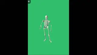 #skeleton
